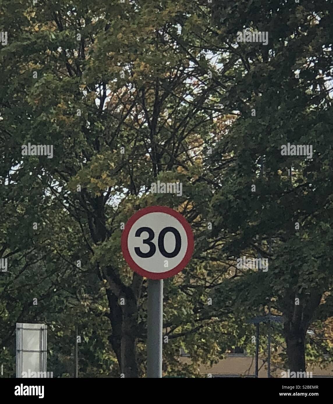 30mile per hour sign against a background of trees Stock Photo Alamy