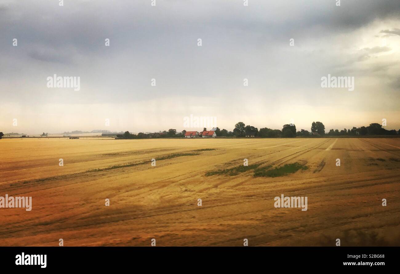 Golden fields of autumn in the south of Sweden. Stock Photo