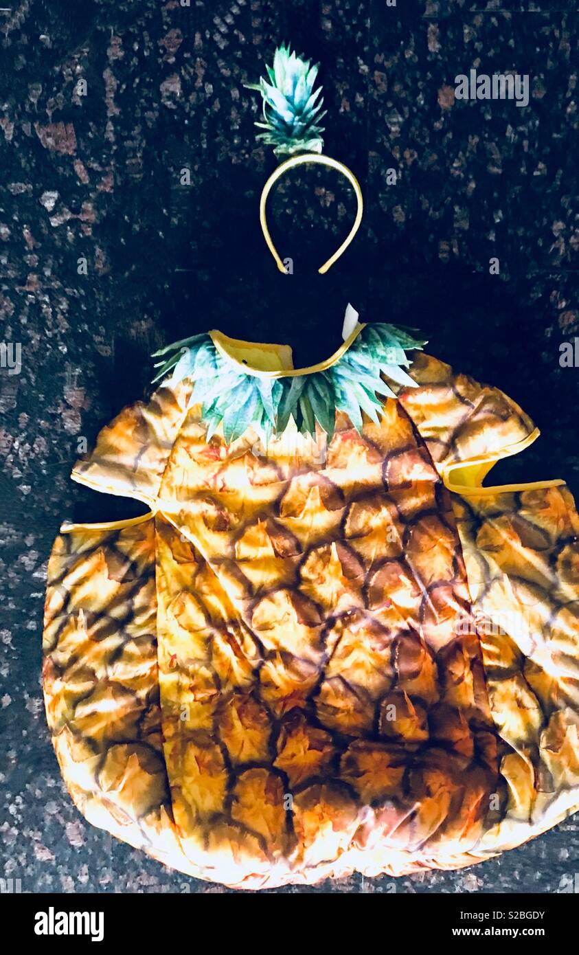 A bright yellow and orange and green pineapple costume with a pineapple