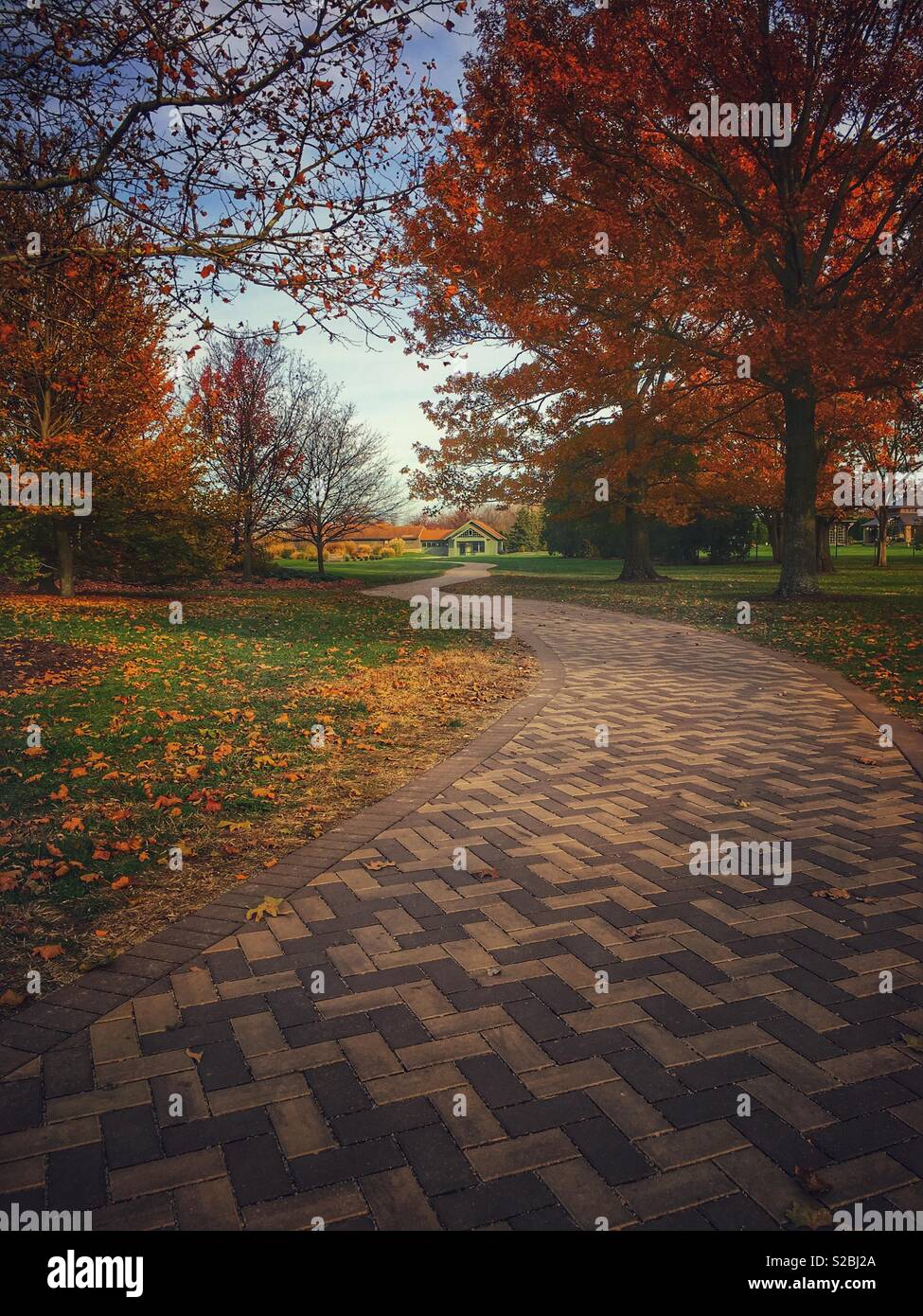 A decorative path, made of brick pavers, winding through autumn trees in a park. - Smartphone Captured Stock Image
