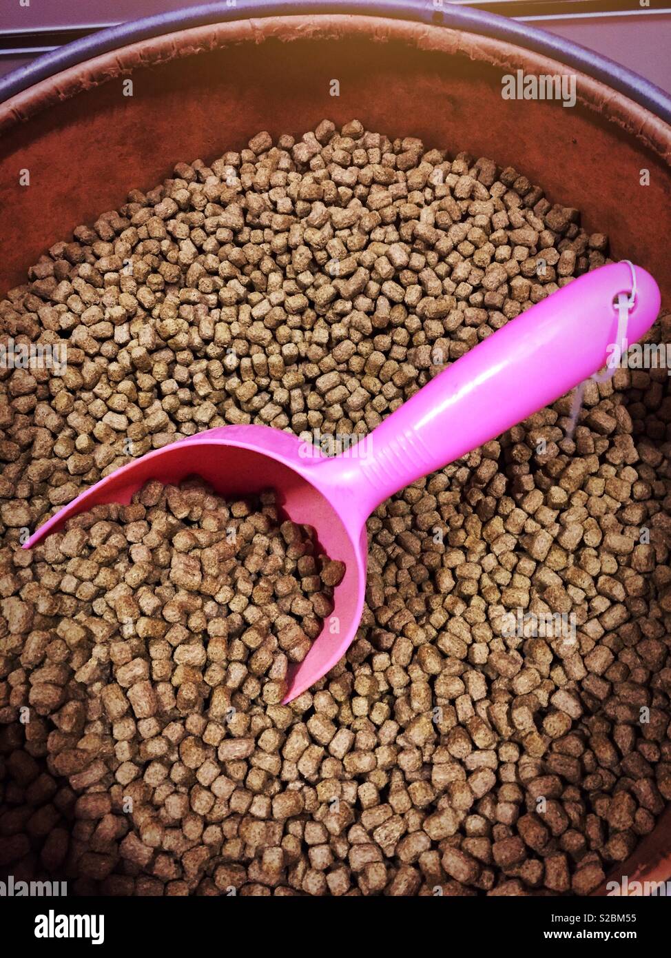 Pet food at pet shop - Smartphone Captured Stock Image