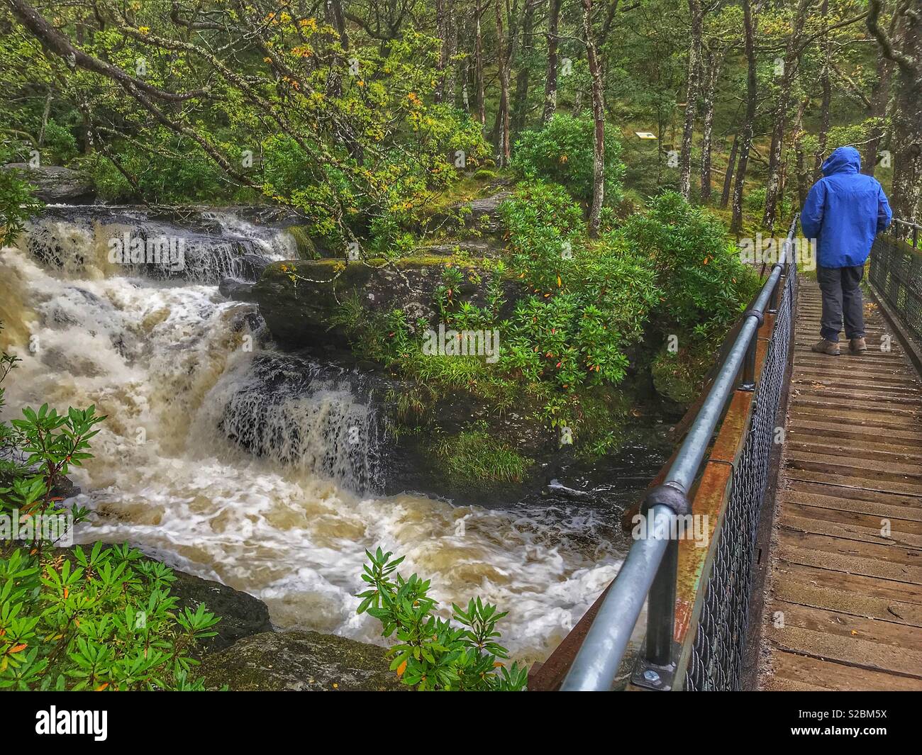 man walking  away, on a wooden footbridge across a waterfall in the rain. Inversnaid, Loch Lomond and The Trossachs National Park, Scotland Stock Photo