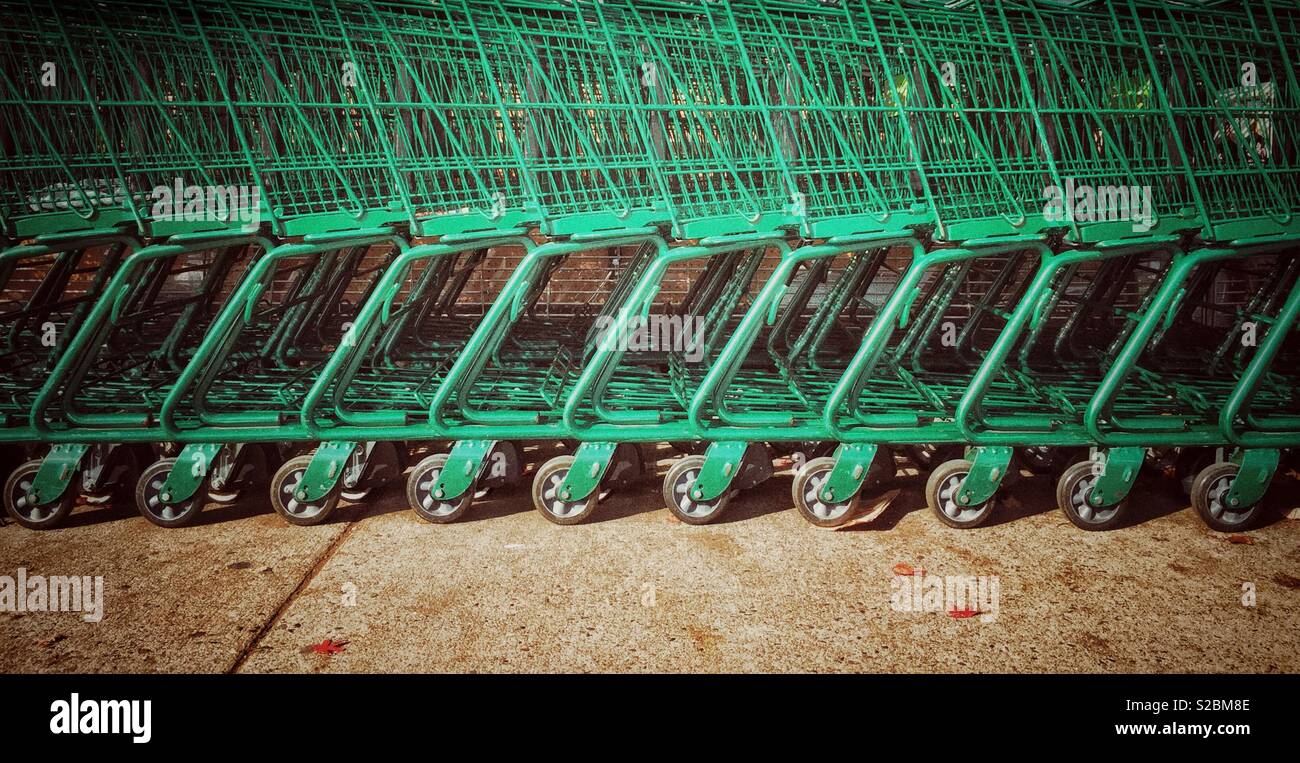 Row of empty green shopping cart trolleys at a grocery supermarket store. Stock Photo