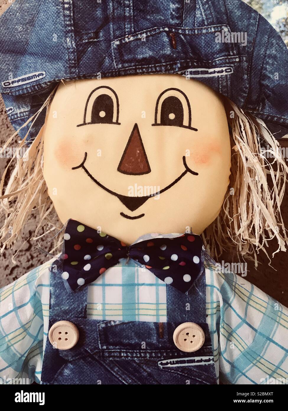 Scarecrow on display- straw hair, jean overalls a big grin and a bow tie Stock Photo