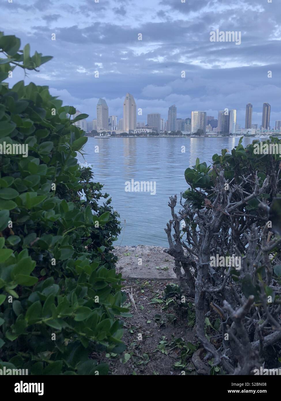 A view of the Adam Diego skyline from across the Bay in Coronado, Calif. - Smartphone Captured Stock Image