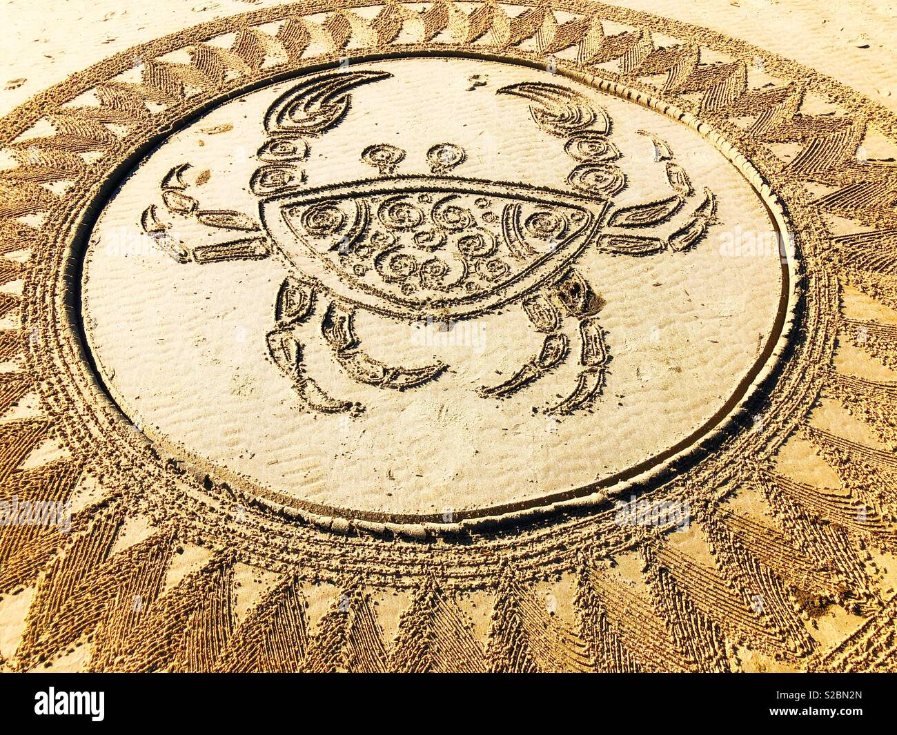 Crab drawing hires stock photography and images Alamy