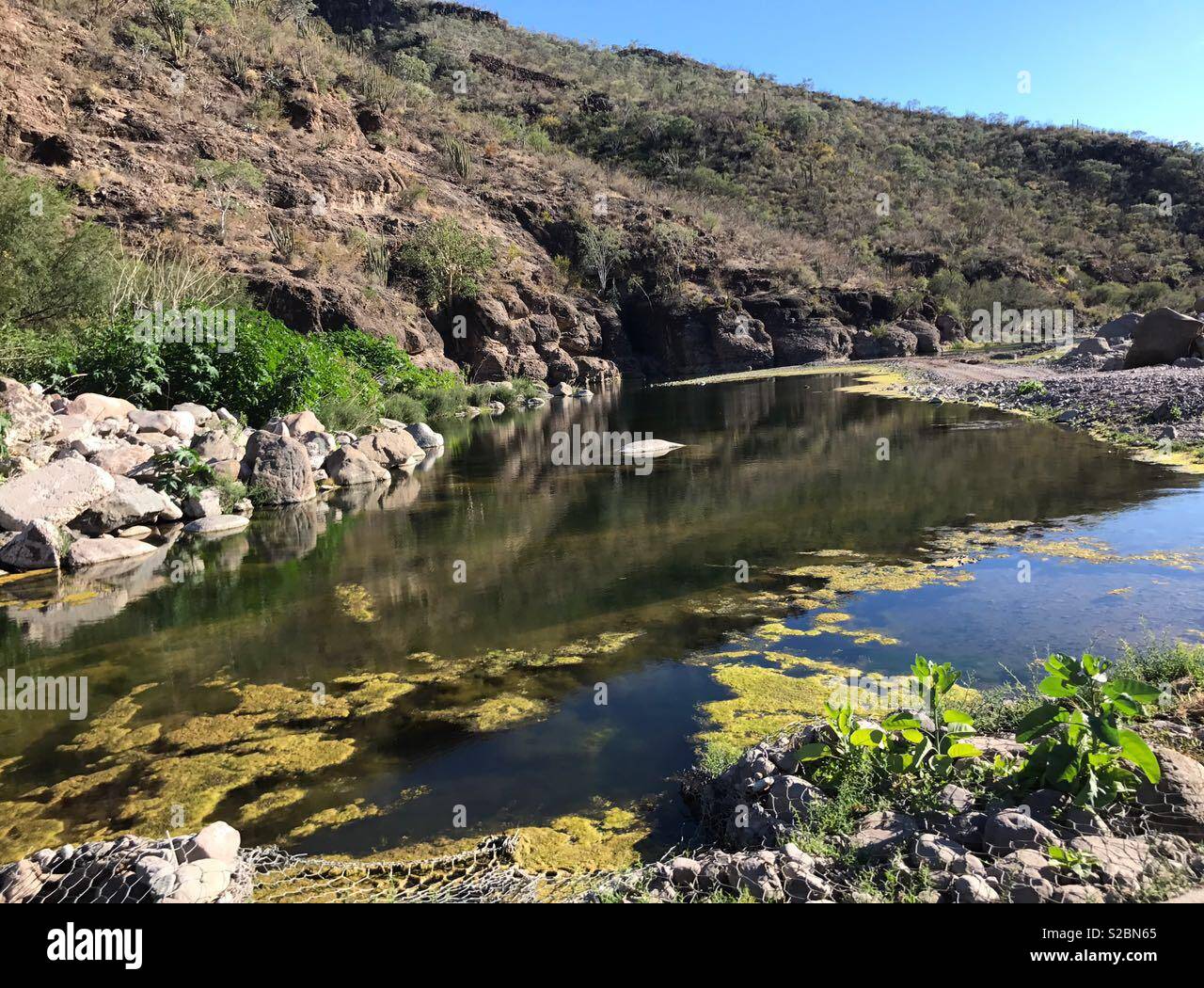 El vizcaino baja california sur hi-res stock photography and images - Alamy