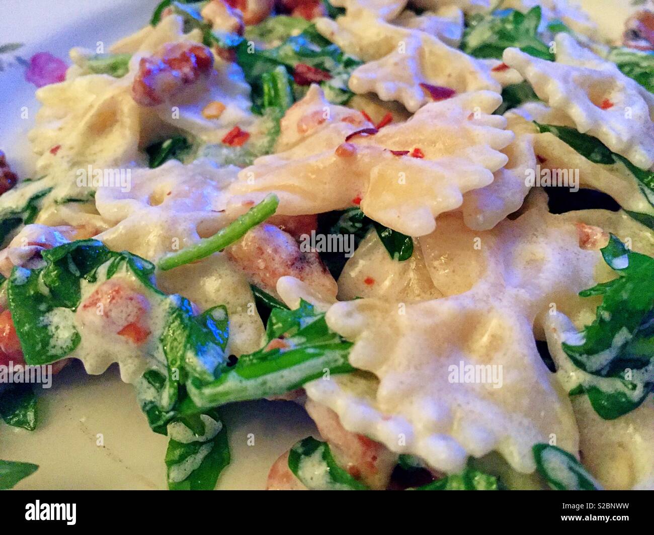 Close up of a gourmet pasta dish of farfalle, walnuts and arugula - Smartphone Captured Stock Image