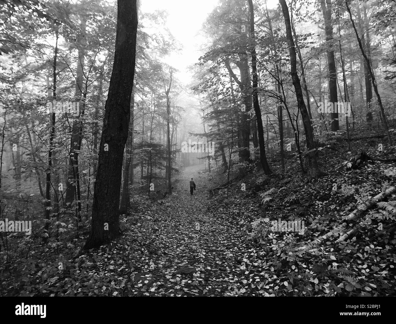 Foggy day Black and White Stock Photos & Images - Alamy