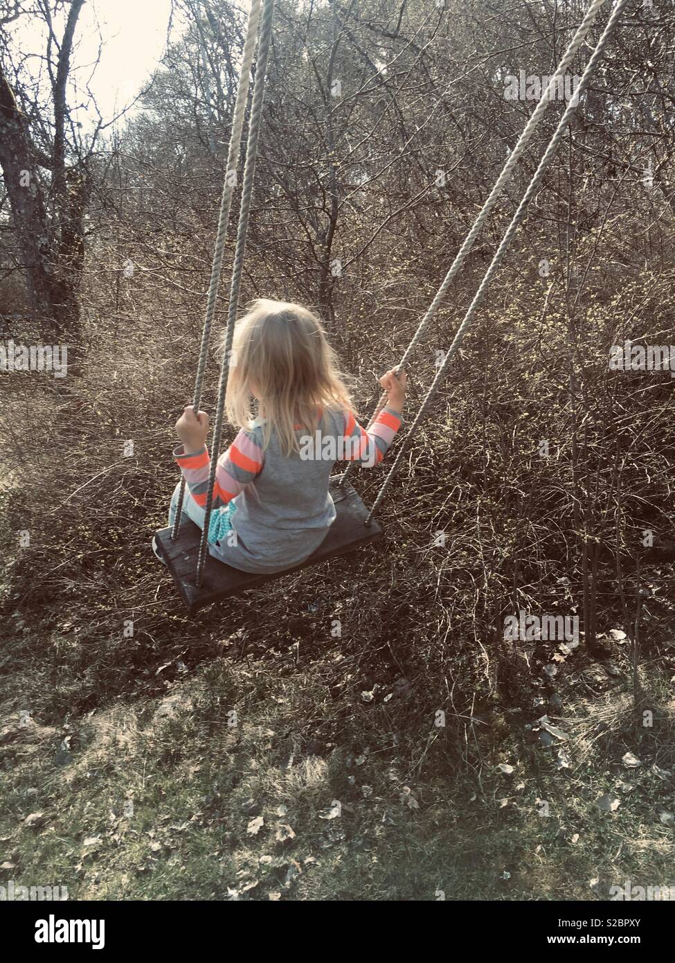 Child on swing Stock Photo