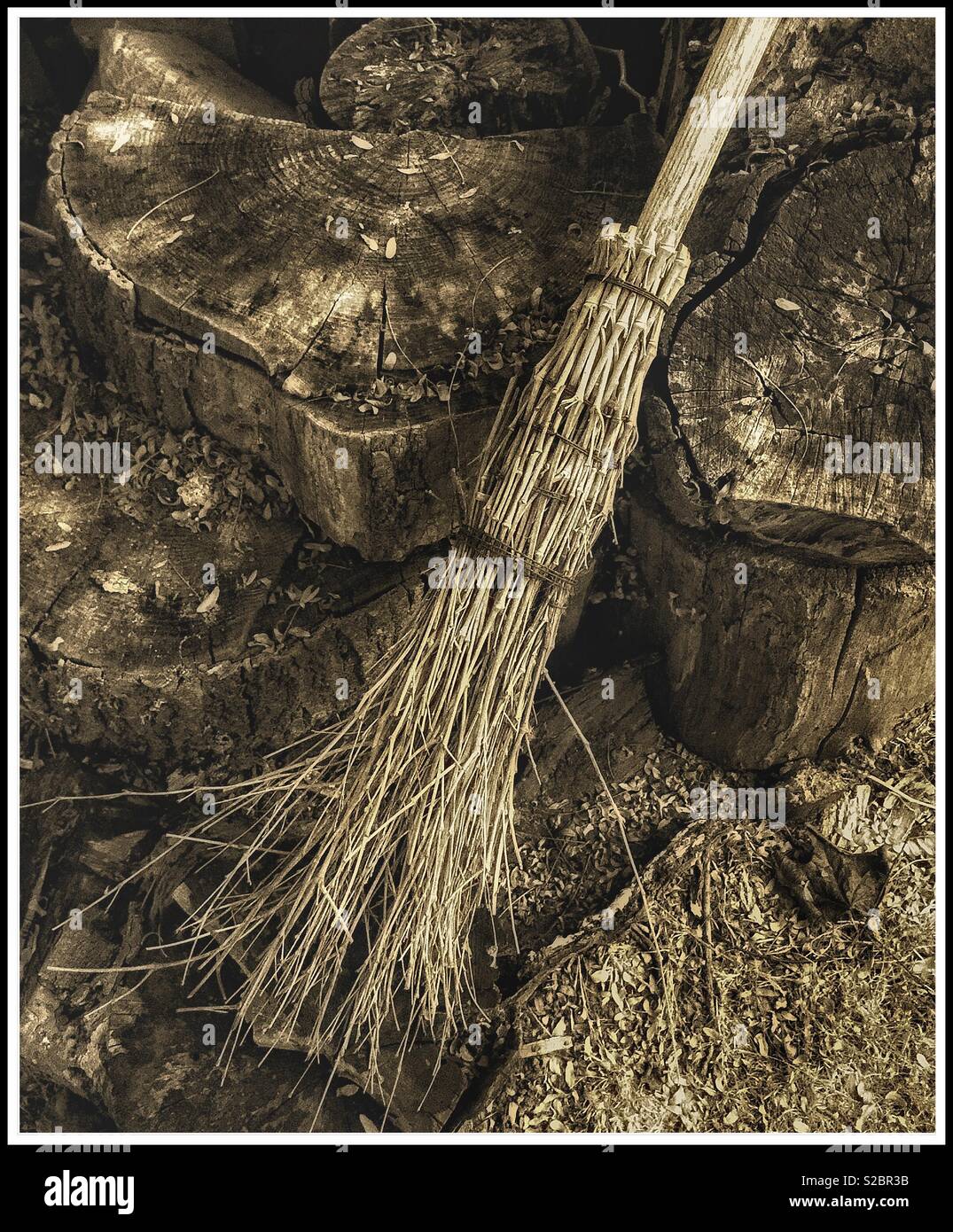 Broomstick hi res stock photography and images Alamy Broomstick hi res stock photography and images Alamy