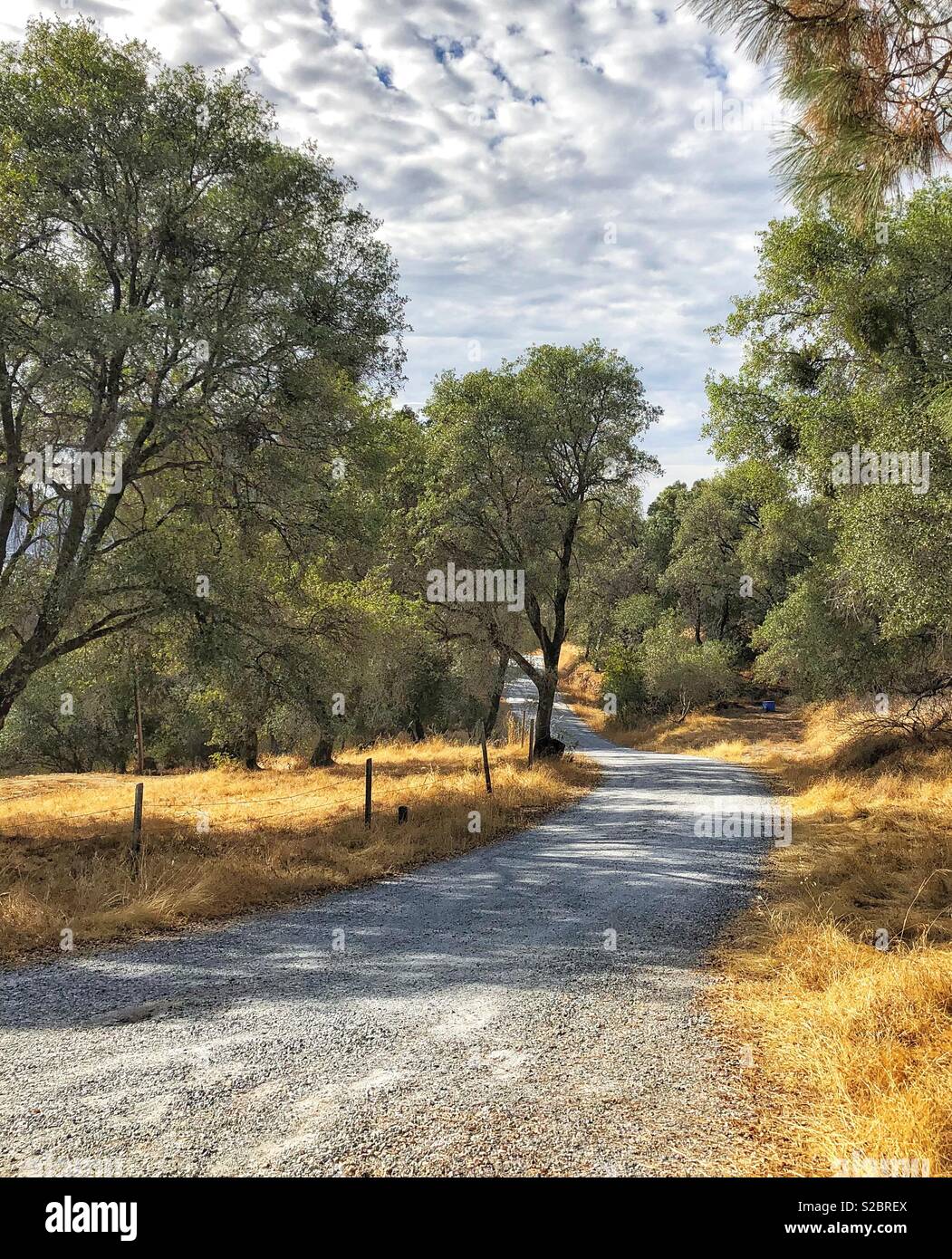 Dirt road in California - Smartphone Captured Stock Image