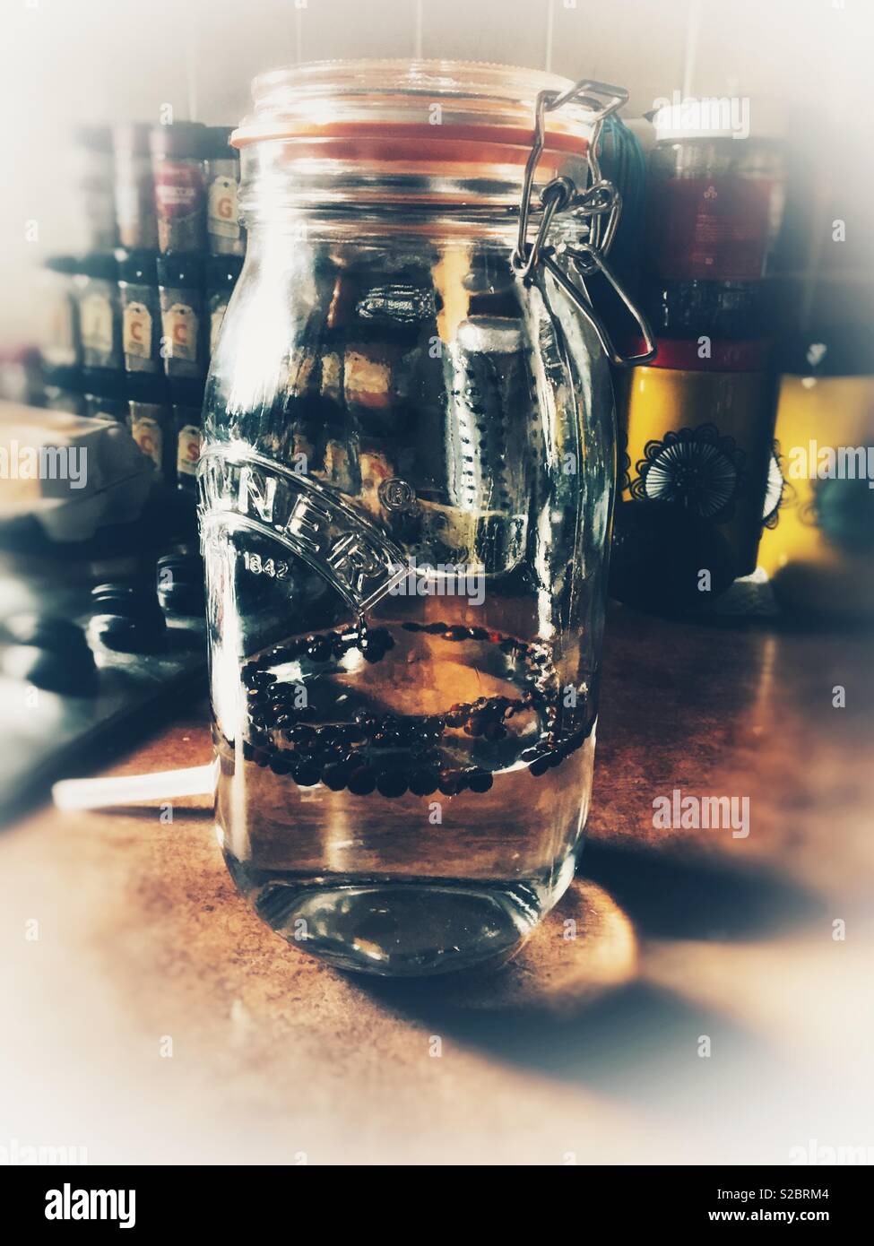 Home made gin with botanicals infusing Stock Photo Alamy