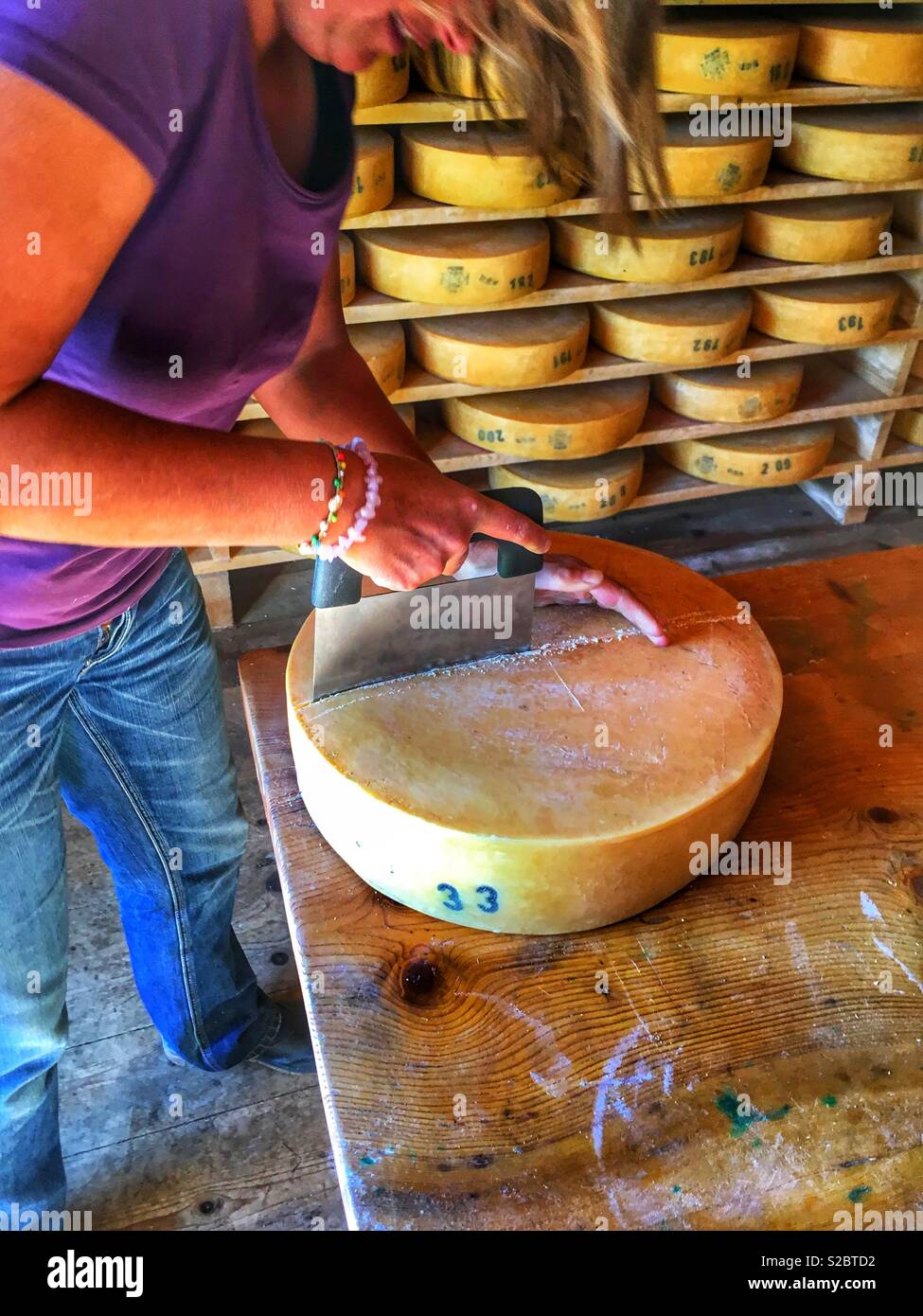 Cutting Swiss mountain cheese on a dairy farm, Alps, Switzerland Stock Photo