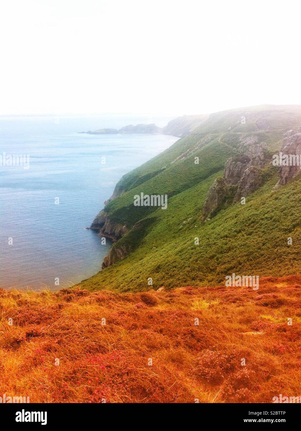 Green hills rolling into the ocean. Lundy island late August - Smartphone Captured Stock Image