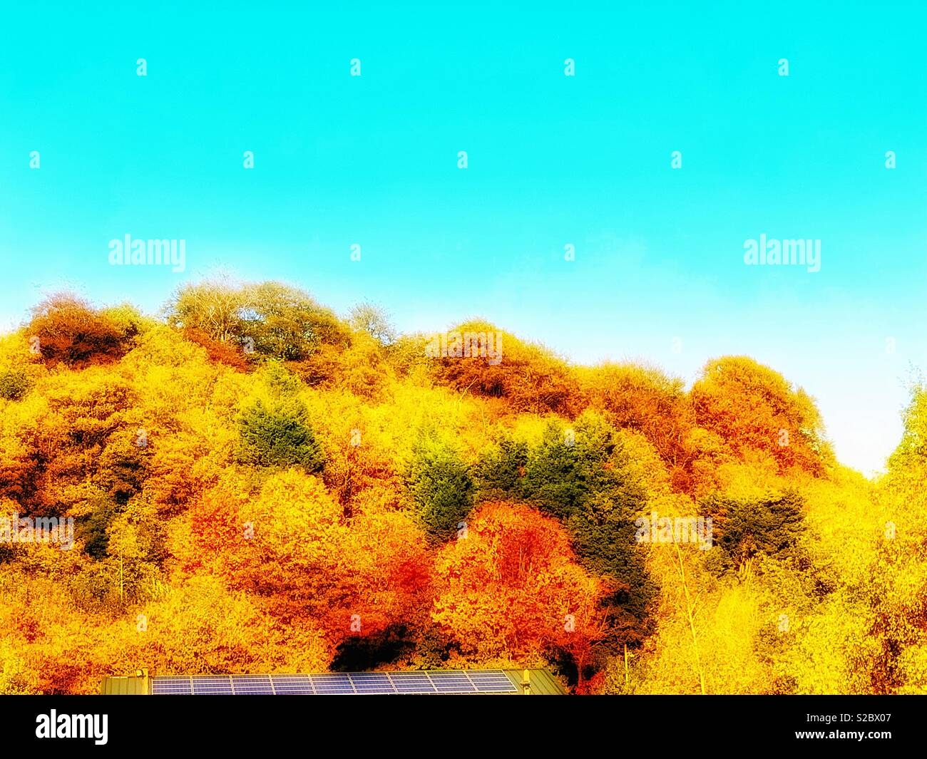 Gold autumn landscape hi-res stock photography and images - Alamy