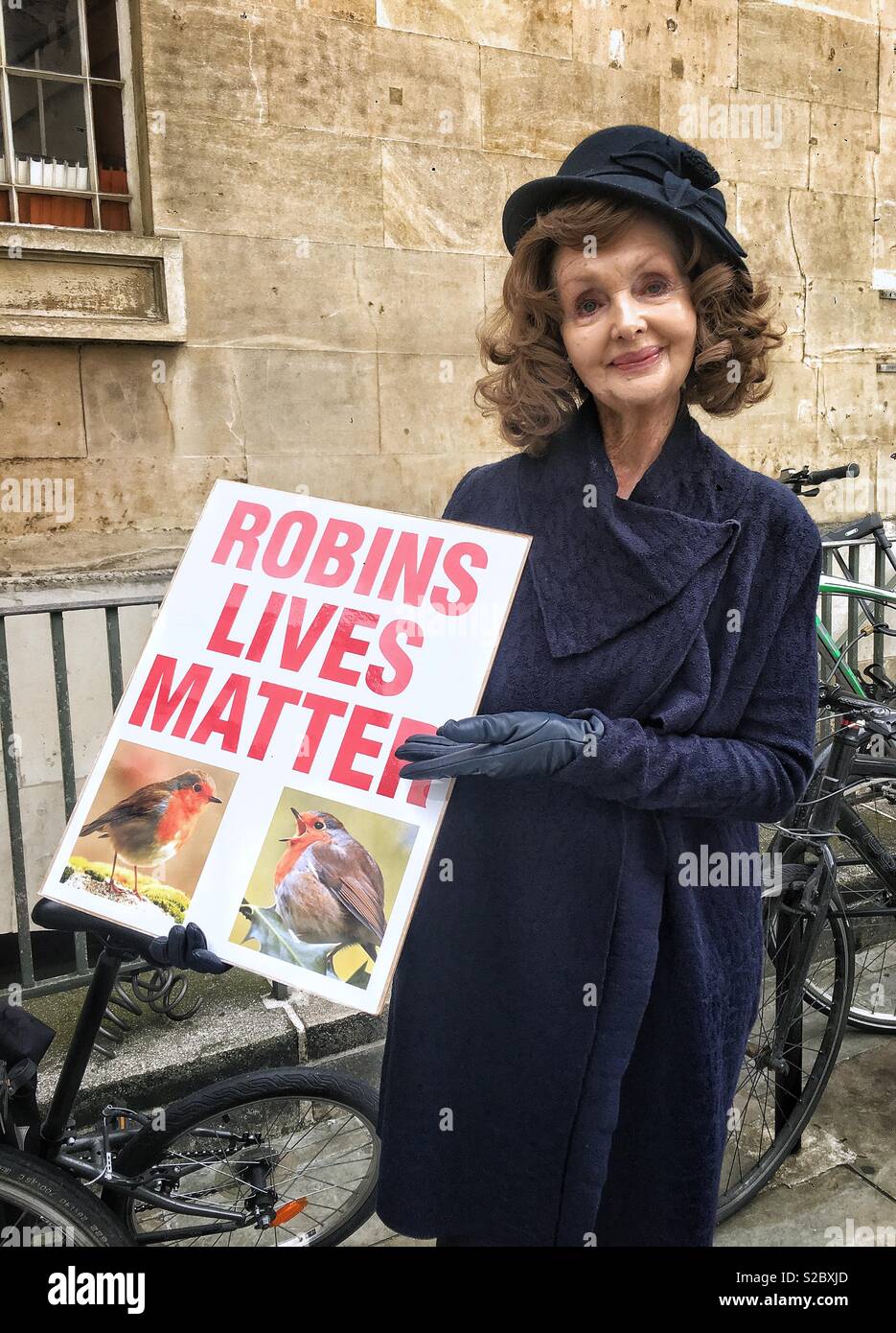 Lady campaigning about garden birds killed by cats Stock Photo