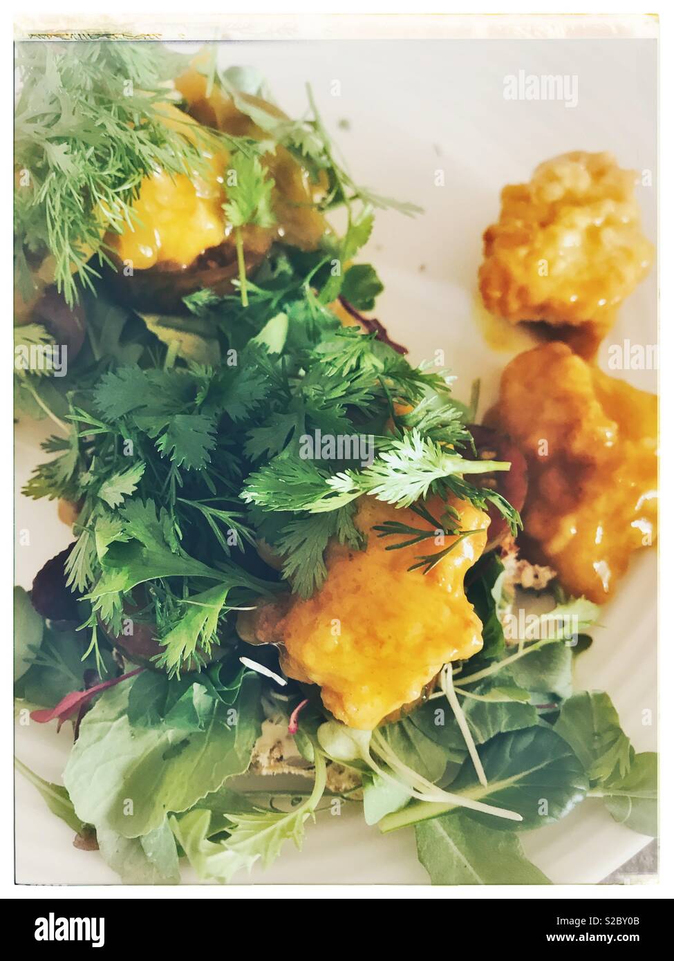 Traditional South African pickled fish with fresh coriander leaves