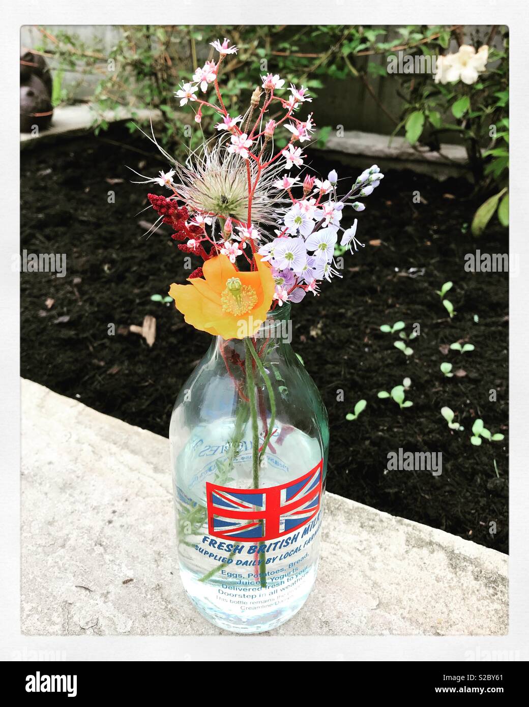 https://c8.alamy.com/comp/S2BY61/old-fashioned-milk-bottle-with-wild-flower-bouquet-S2BY61.jpg