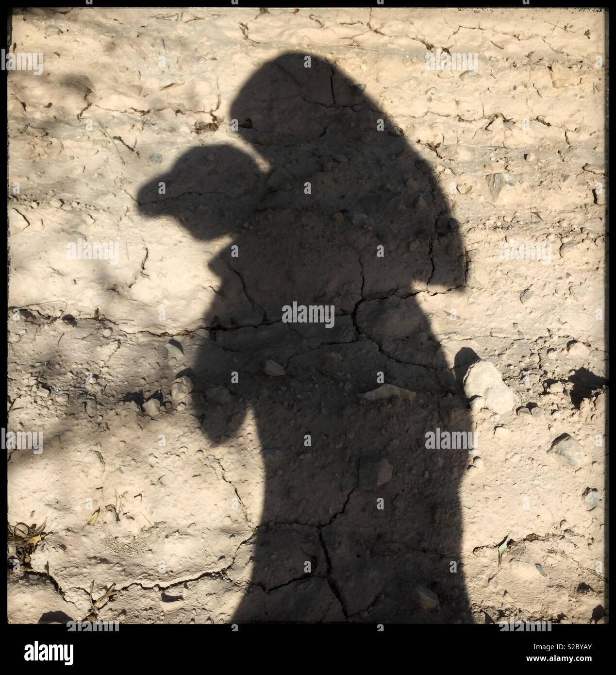 Shadow of man carrying almond sack during harvest, Catalonia, Spain. - Smartphone Captured Stock Image