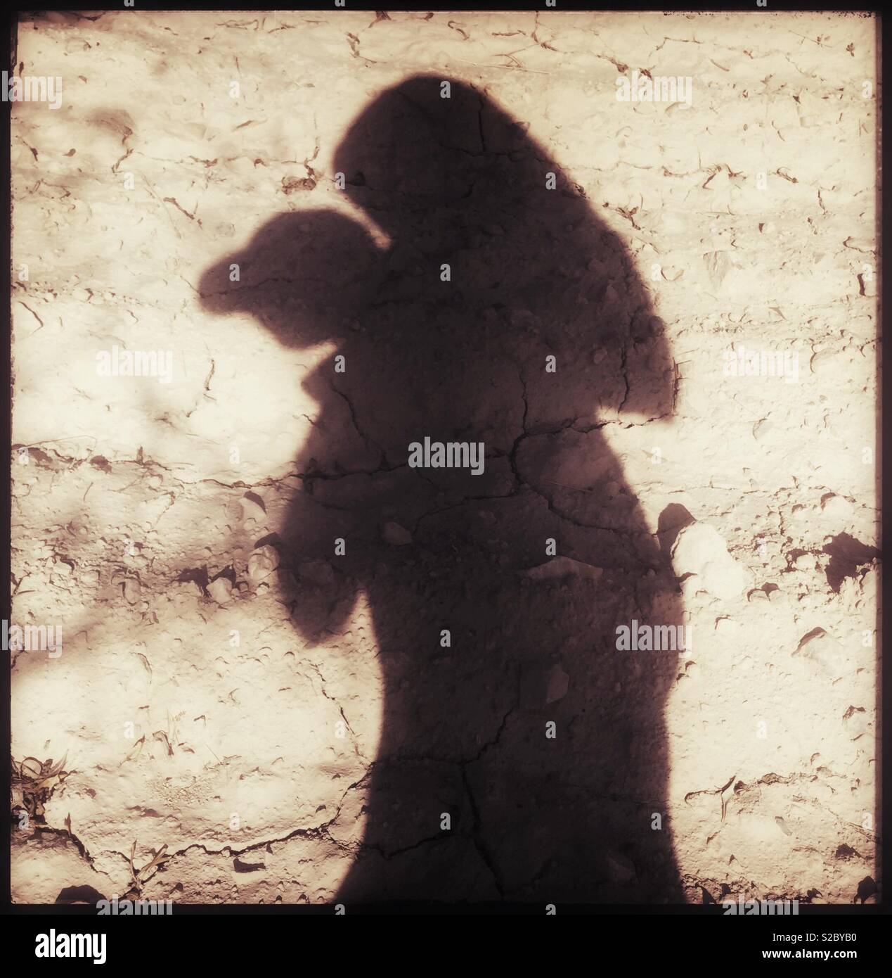 Shadow of man carrying almond sack during harvest, Catalonia, Spain. - Smartphone Captured Stock Image