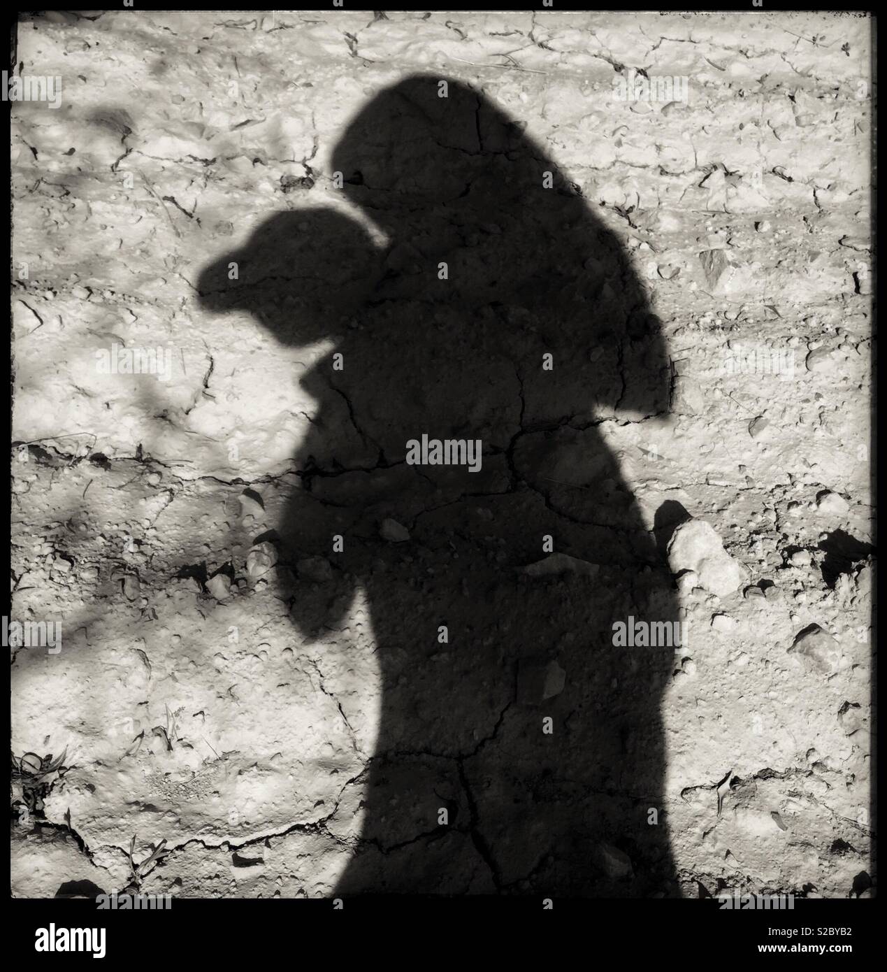 Shadow of man carrying almond sack during harvest, Catalonia, Spain. - Smartphone Captured Stock Image