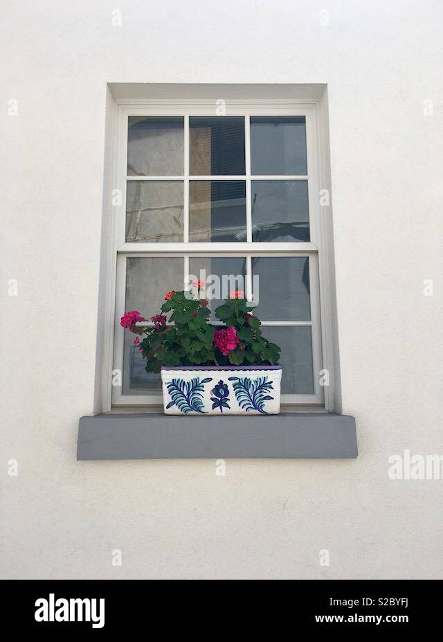 Geranium window box Stock Photo Alamy