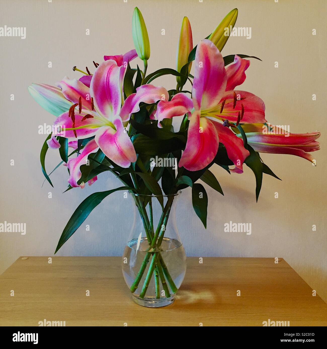 Stargazer Lillies in a vase - Smartphone Captured Stock Image
