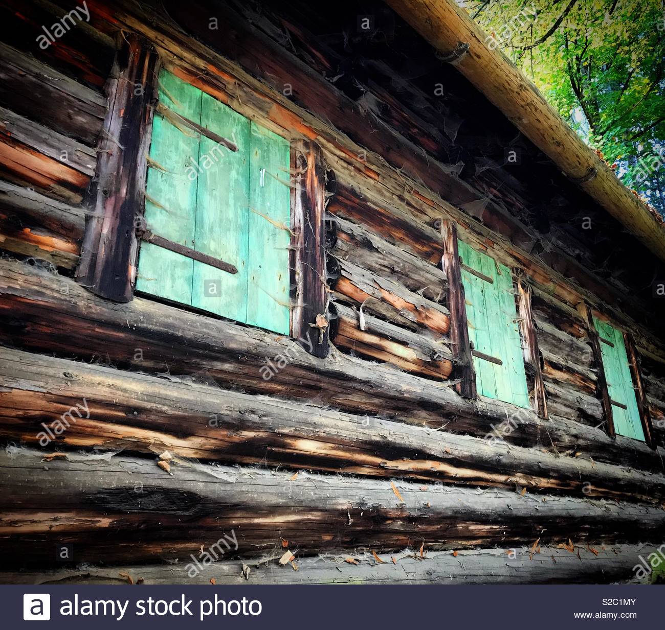 Rustic Log Cabin With Pastel Green Shutters Stock Photo 311280731