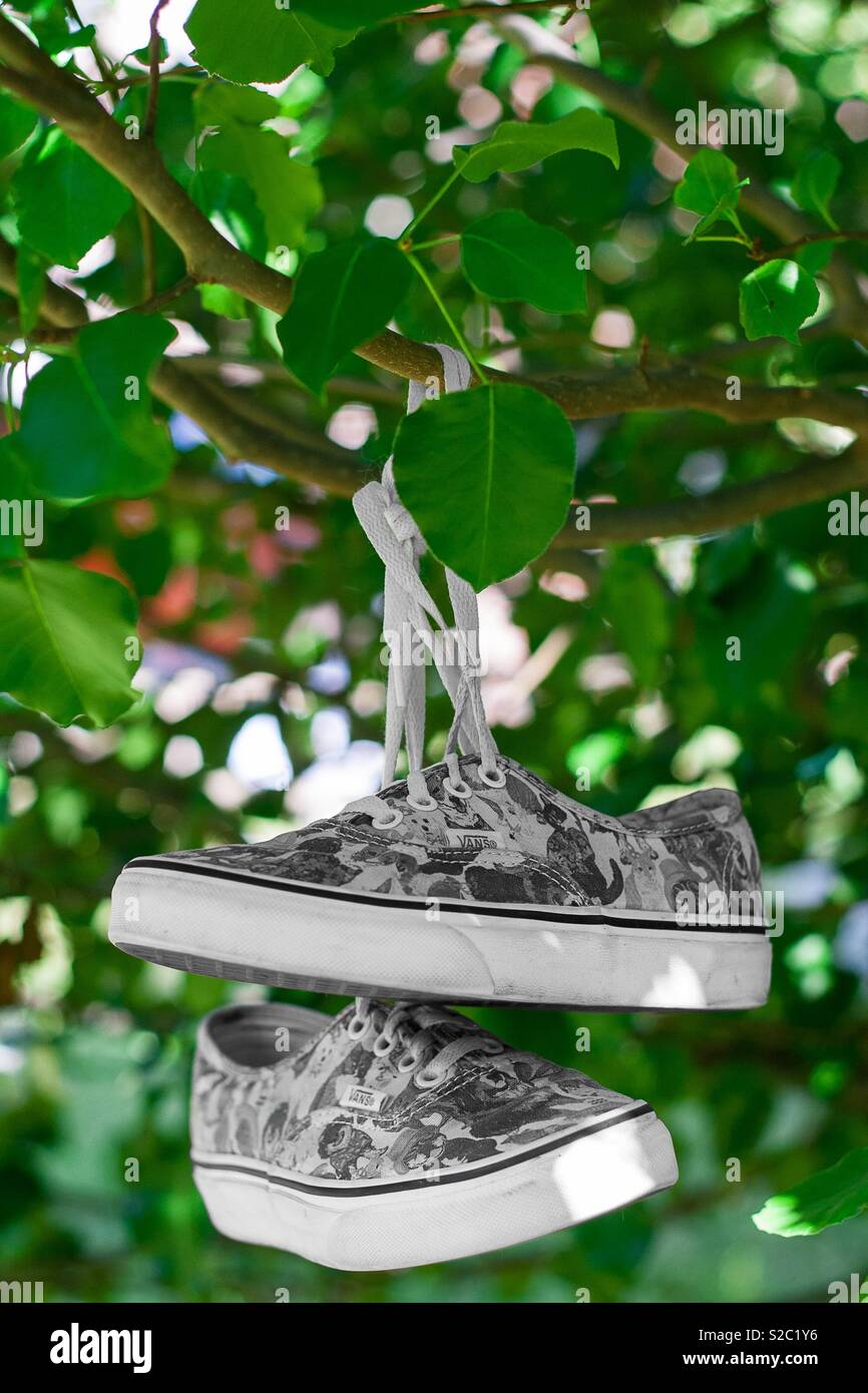 Shoes hanging from tree hires stock photography and images Alamy