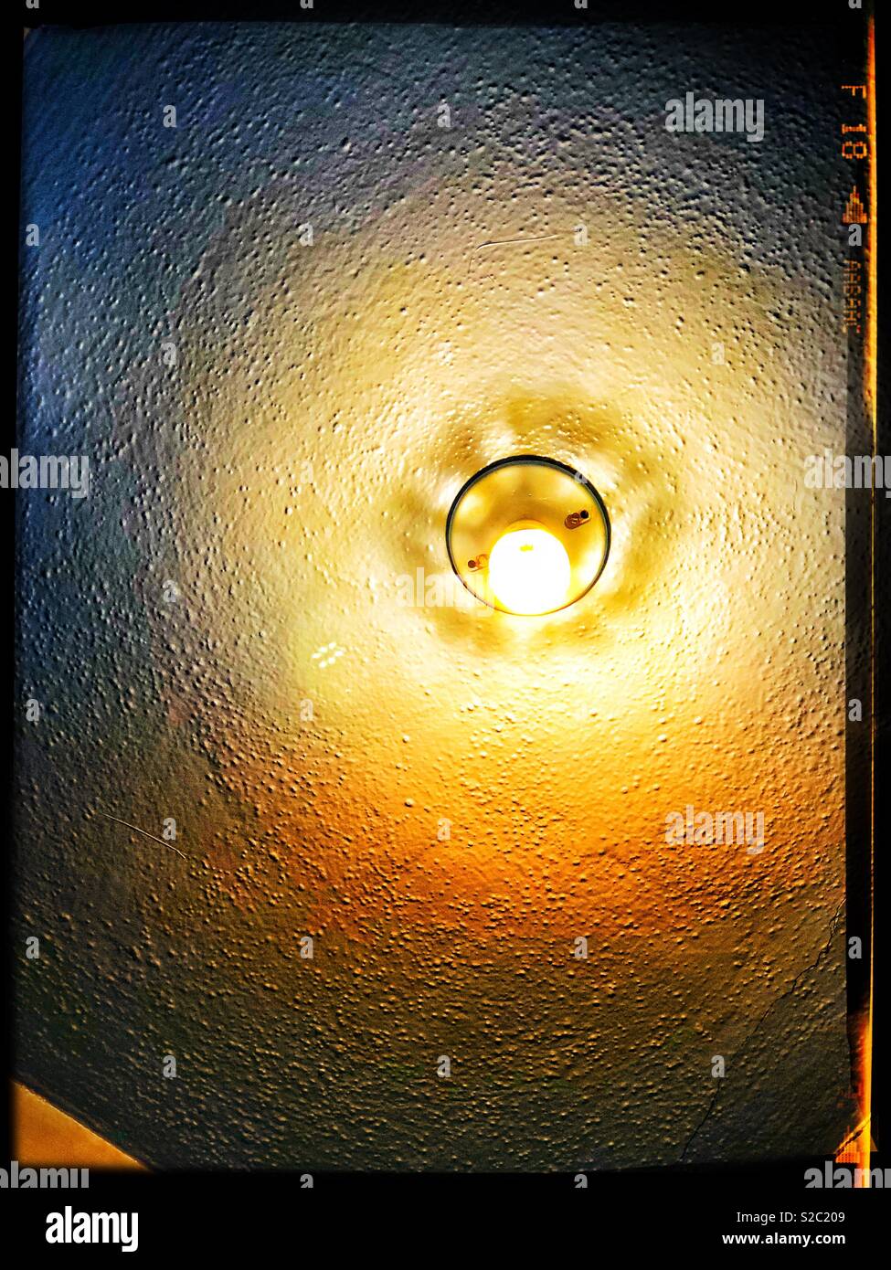 Lightbulb in a light socket Stock Photo Alamy