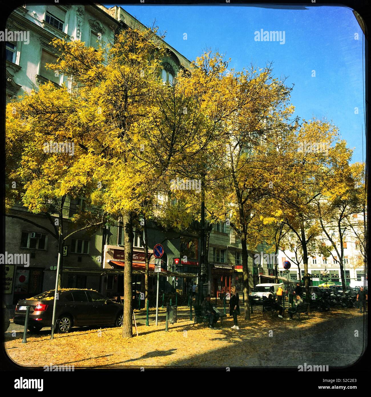Autumnal trees in the inner city of Budapest, Hungary. - Smartphone Captured Stock Image