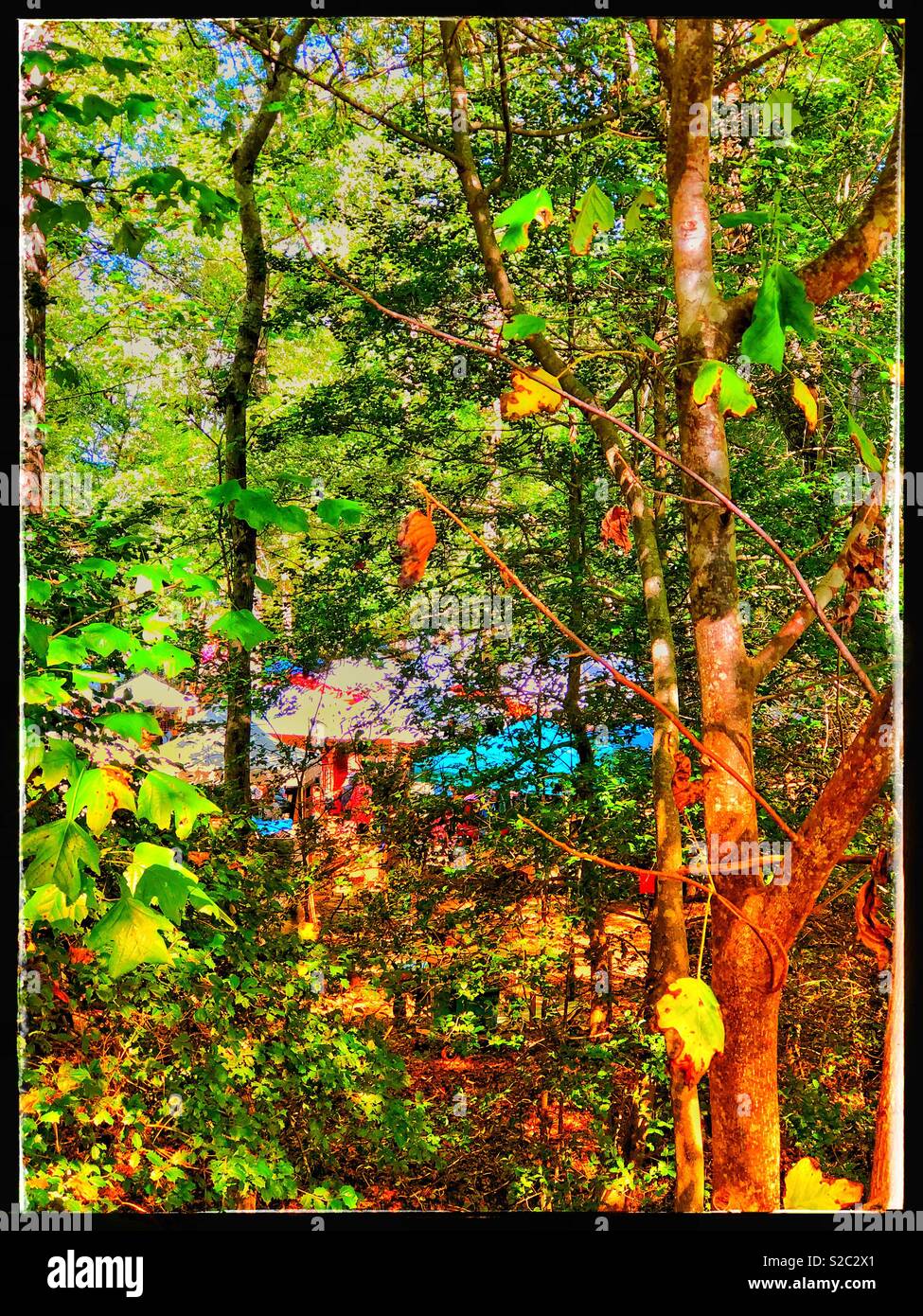 Fall festival through the trees Stock Photo
