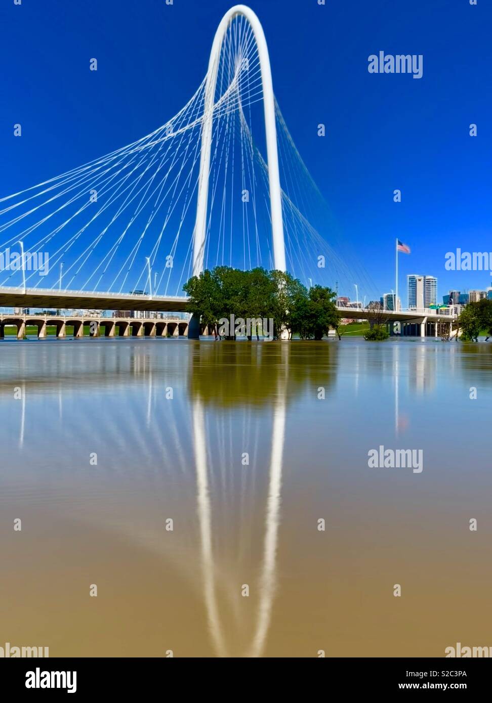 Margaret Hunt Bridge reflection in the Trinity River in Dallas - Smartphone Captured Stock Image