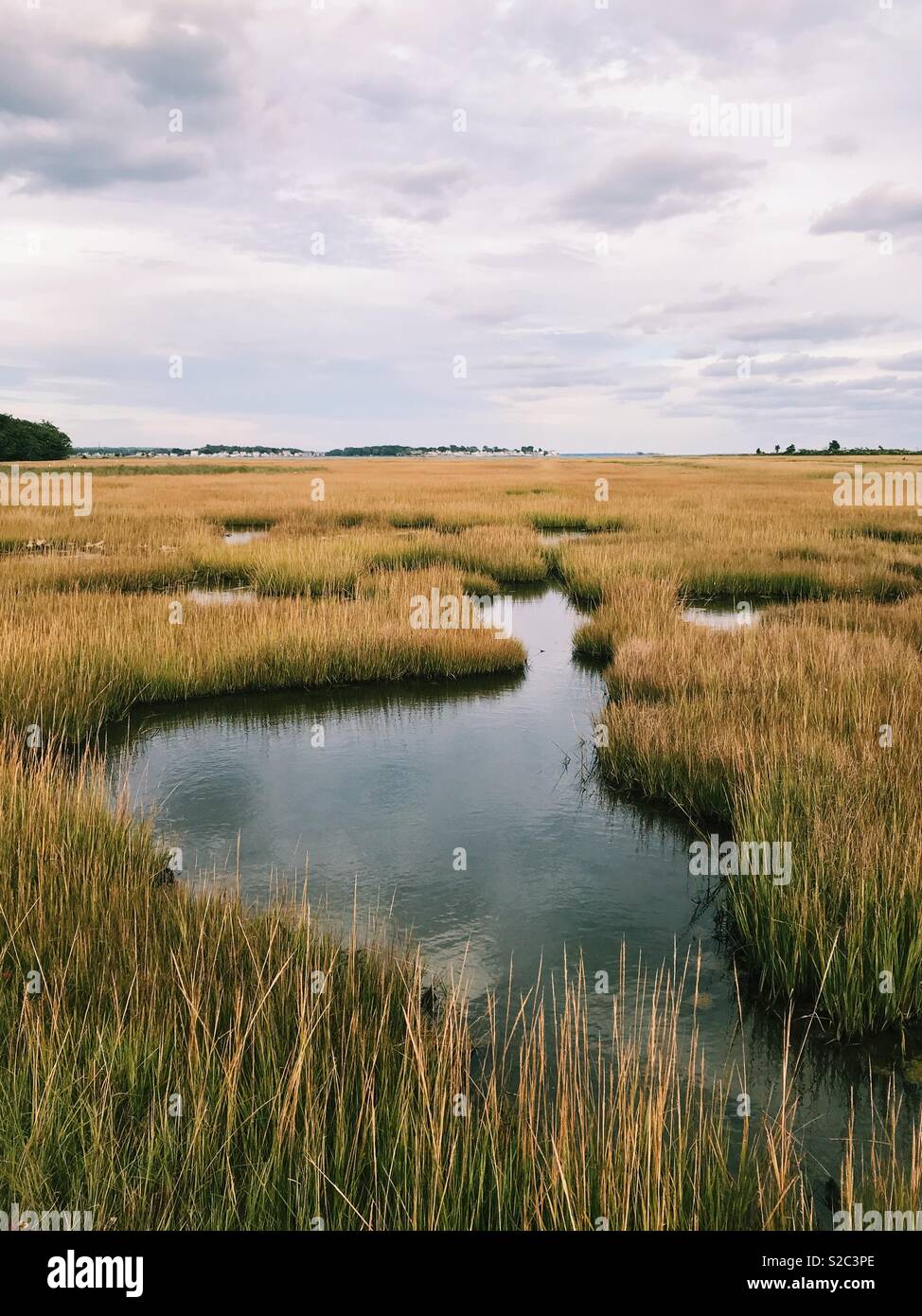 Landscape of a beautiful salt marsh during fall in Madison, Connecticut, USA. Stock Photo