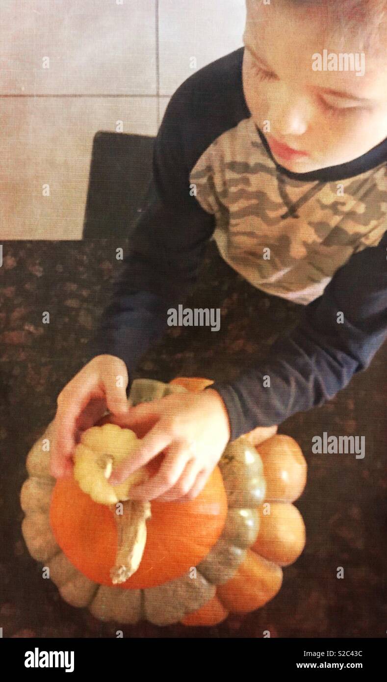 Little boy stacking up pumpkins getting ready for Halloween night Stock Photo