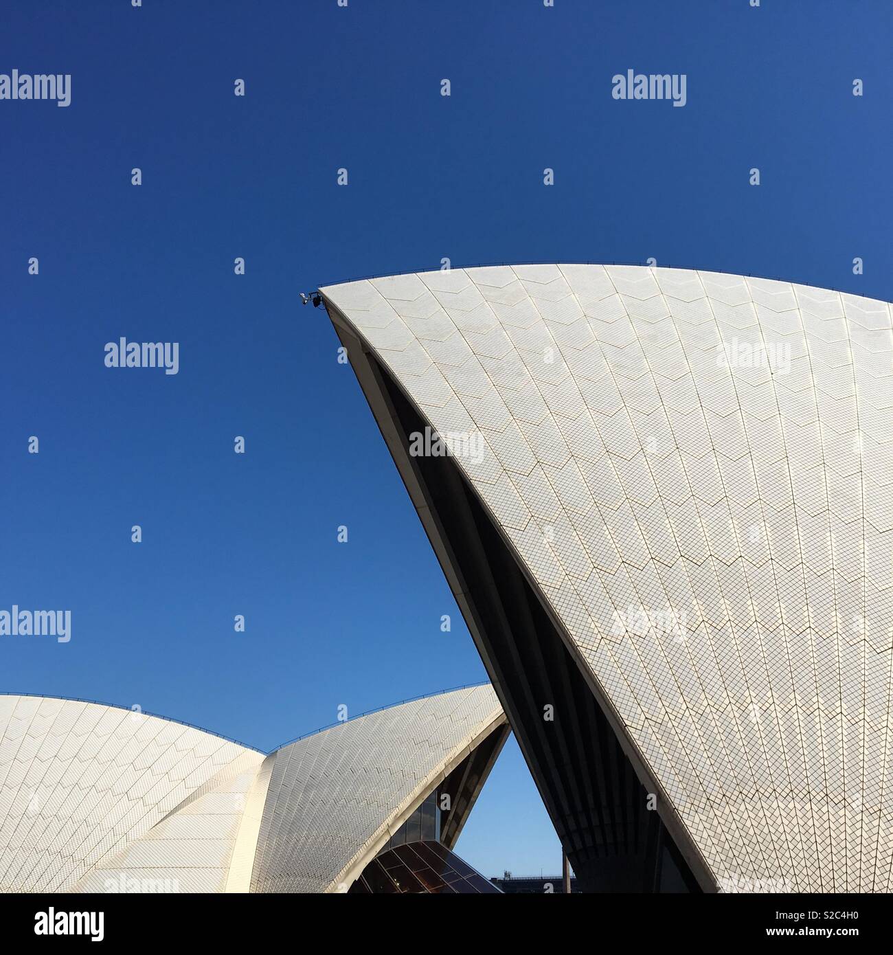 Sails of The Sydney Opera House - Smartphone Captured Stock Image