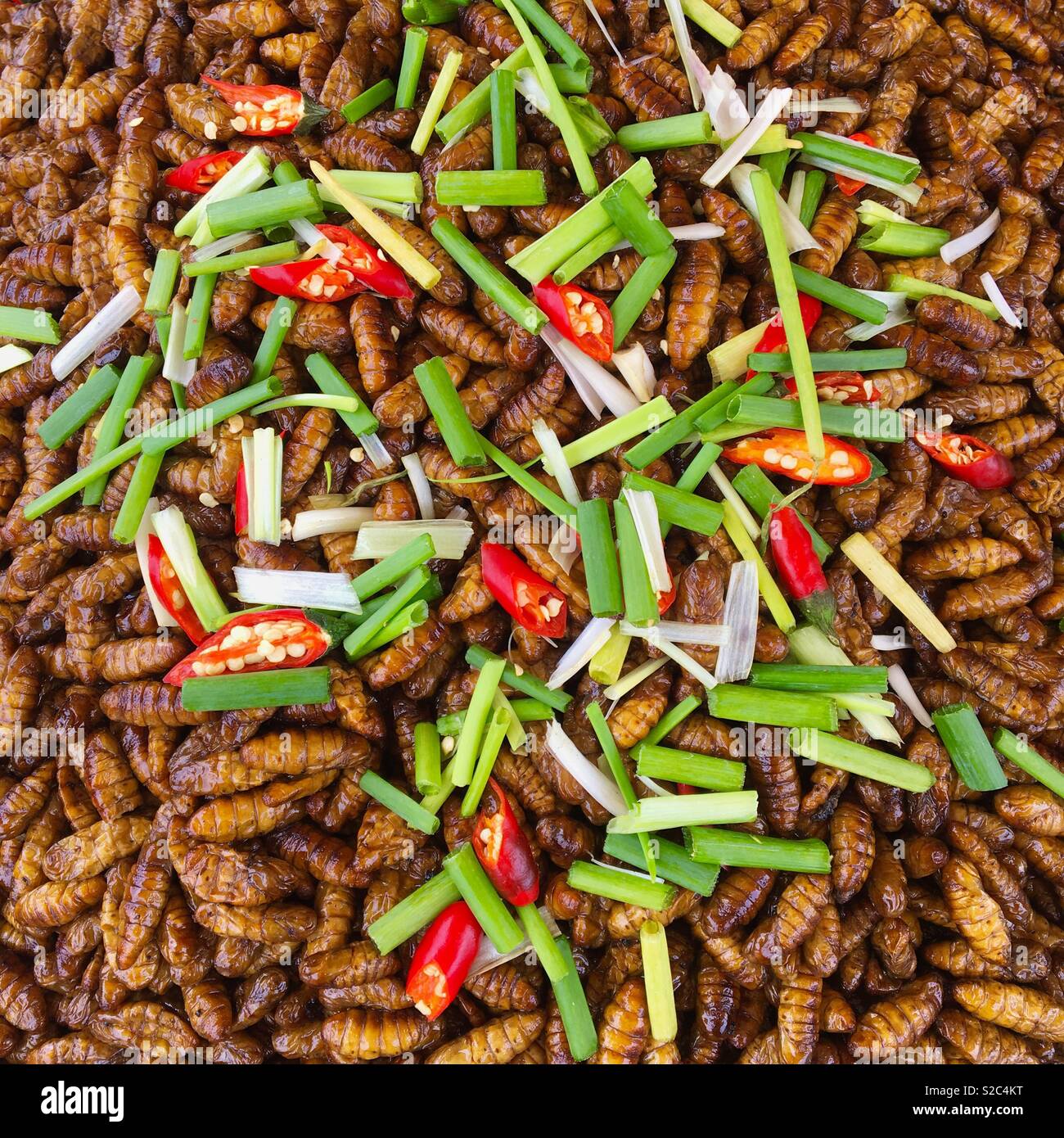 Edible silk worms for sale at food markets in Cambodia Stock Photo
