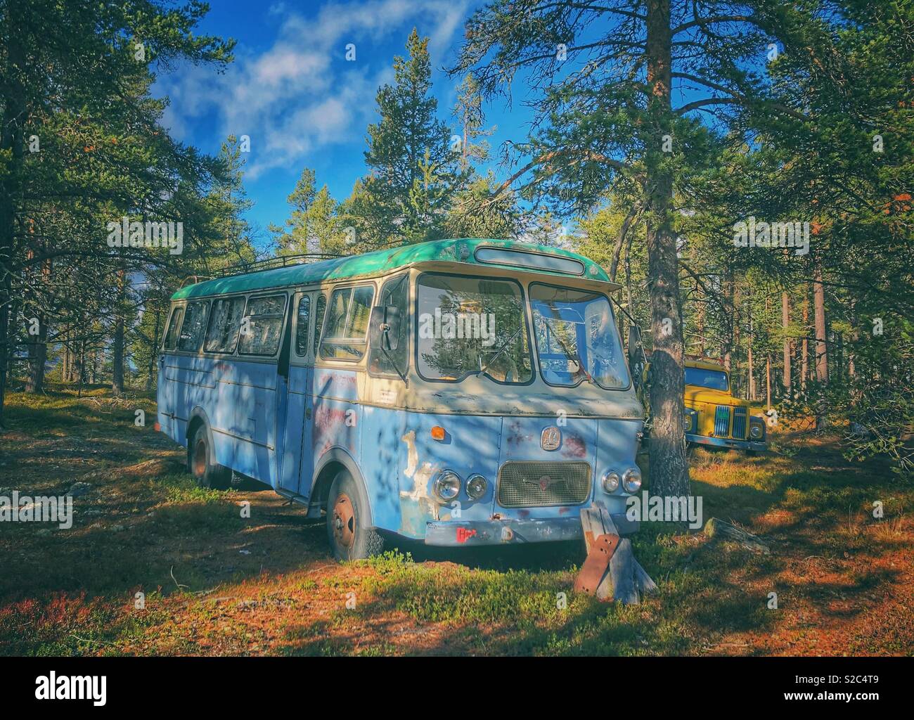 Old bus abandoned in the forest Stock Photo
