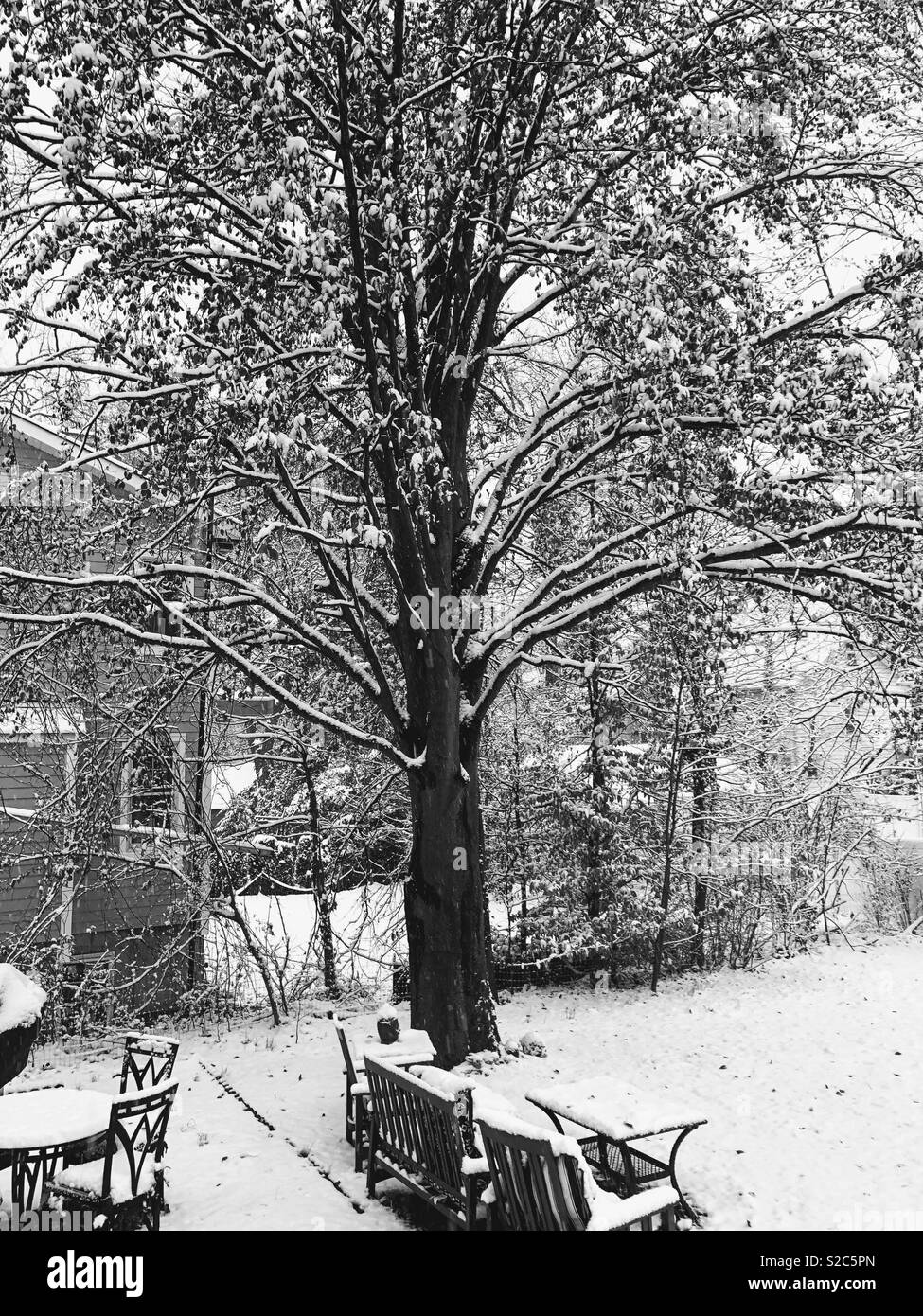 Winter garden in Teaneck New Jersey Stock Photo Alamy