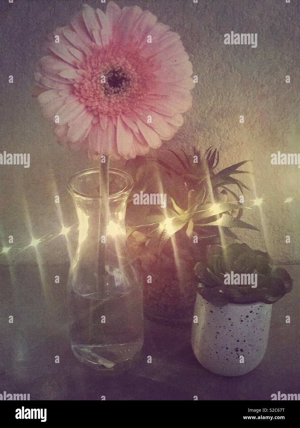 Garden top dresser hires stock photography and images Alamy