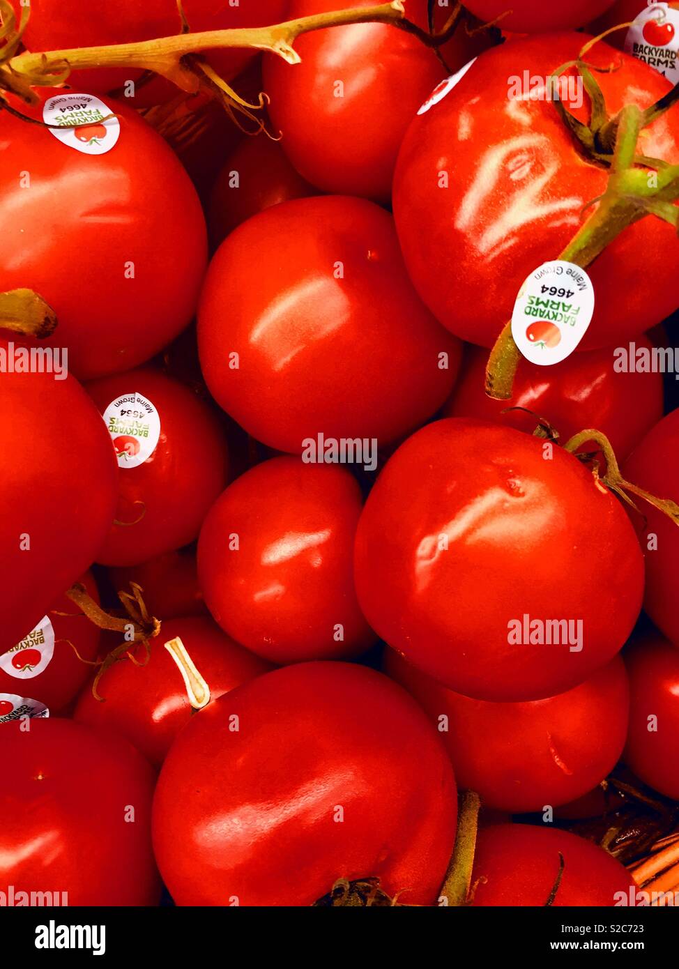 Food - Smartphone Captured Stock Image