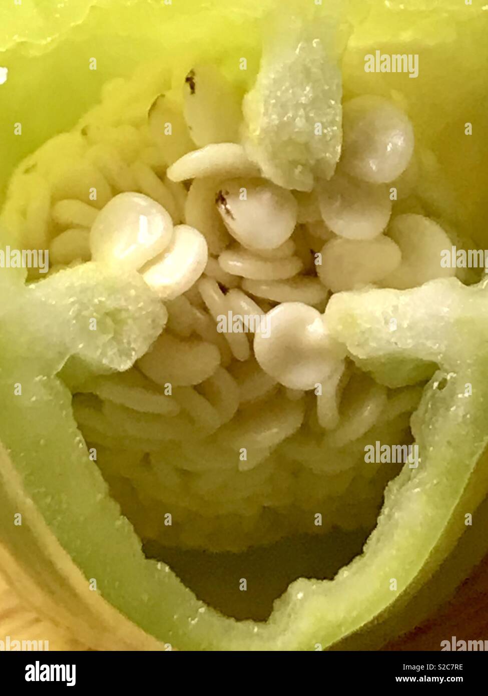 Yellow pepper cut in half showing internal flesh and seeds. - Smartphone Captured Stock Image