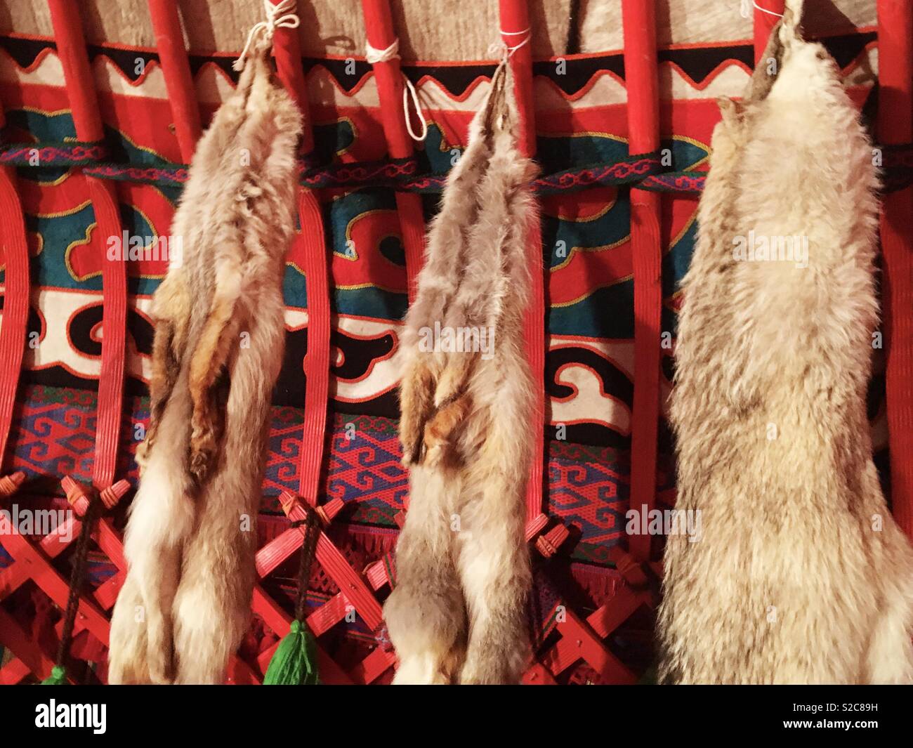 Hunted for their fur hires stock photography and images Alamy