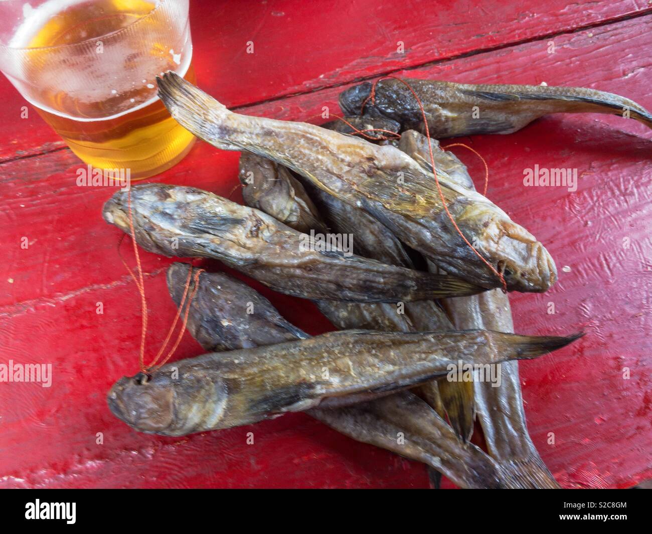 Dry fish and a beer on a red table, Ukraine - Smartphone Captured Stock Image