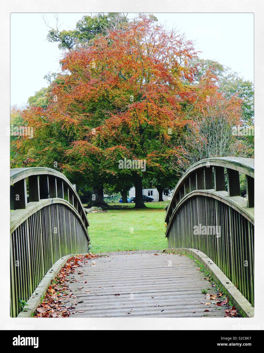 Beautiful autumnal tree over wooden bridge Stock Photo
