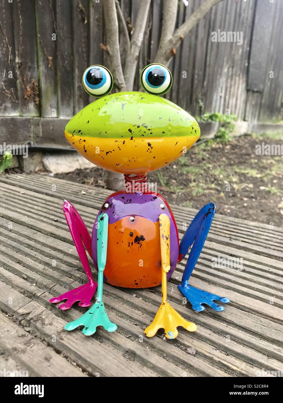 Rainbow frog hi-res stock photography and images - Alamy