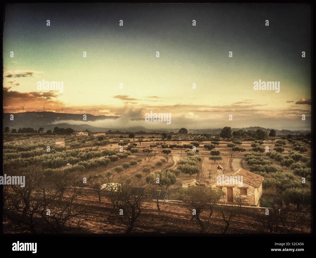 Autumnal daybreak over the olive farm, Catalonia, Spain. - Smartphone Captured Stock Image