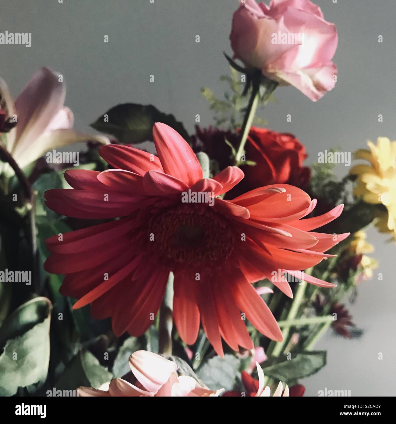 Beautiful Fresh Flowers In A Vase Daisy And Rose Stock Photo
