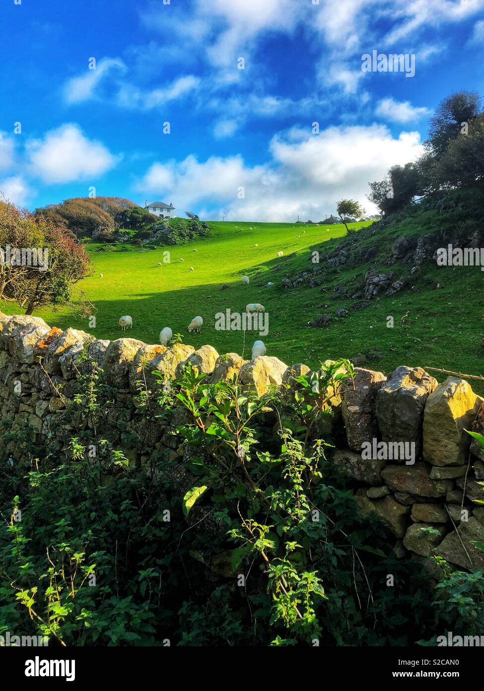 House on a hill with a lovely view, Gower, Wales, October. - Smartphone Captured Stock Image